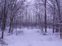 Winter Entrance